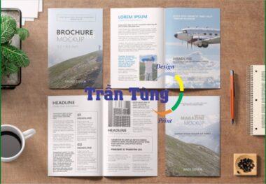 in catalogue giá rẻ quận 12